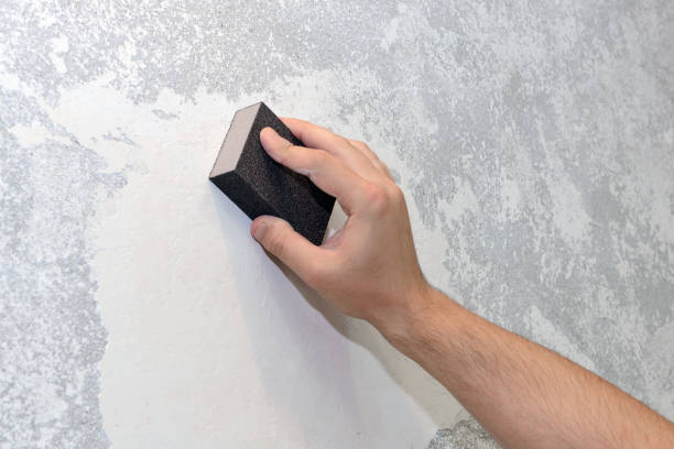 Best Crawl Space Mold Remediation  in Ridgetop, TN