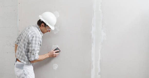 Best Airborne Mold Testing  in Ridgetop, TN