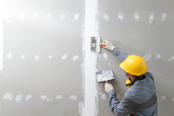 Environmental Consulting for Mold Prevention in Ridgetop, TN