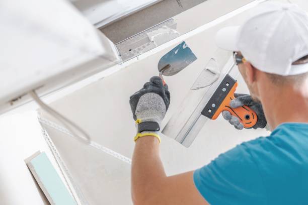 Mold Remediation for Vacation Homes in Ridgetop, TN